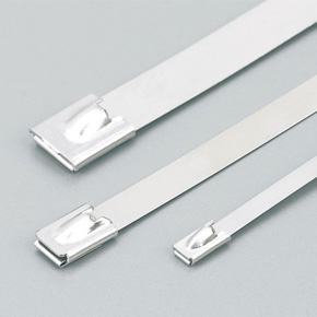 Stainless steel band