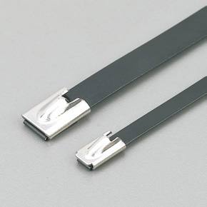 Stainless steel band