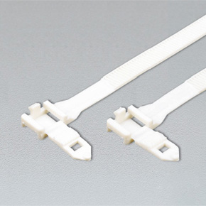 Buckle band